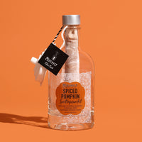 Spiced Pumpkin Spirit Infusion Kit