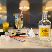 Elixir Mixers bar accessories, with Eternal Ice and Mango Jalapeño Spirit Infusion Kit